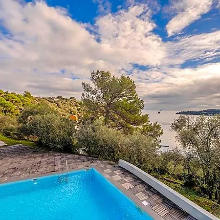 Hotel Hotiday Collection -